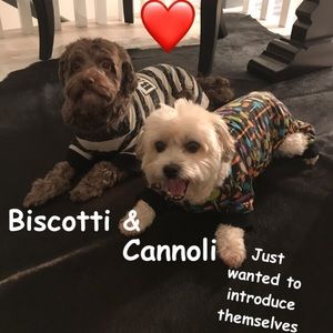 My 🐶🐶. Shirts, dresses, sweaters, costumes!❤️
